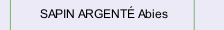 SAPIN ARGENT&Eacute; Abies 