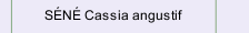 S&Eacute;N&Eacute; Cassia angustif
